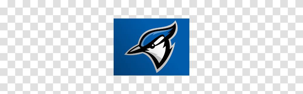 Toronto Blue Jays Concept Logo Sports Logo History, Bird, Animal, Shark Transparent Png