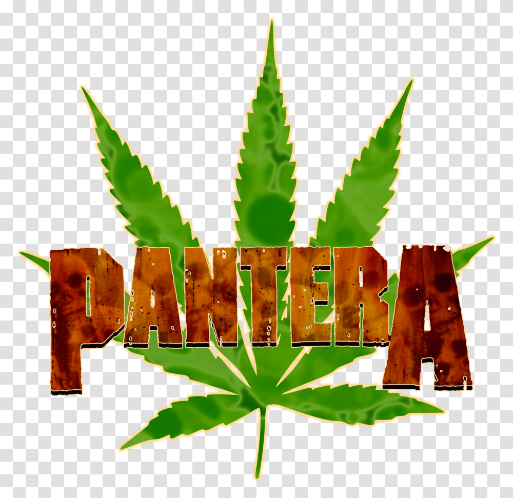 Toronto Maple Leafs Marijuana, Plant, Weed, Hemp, Fruit Transparent Png