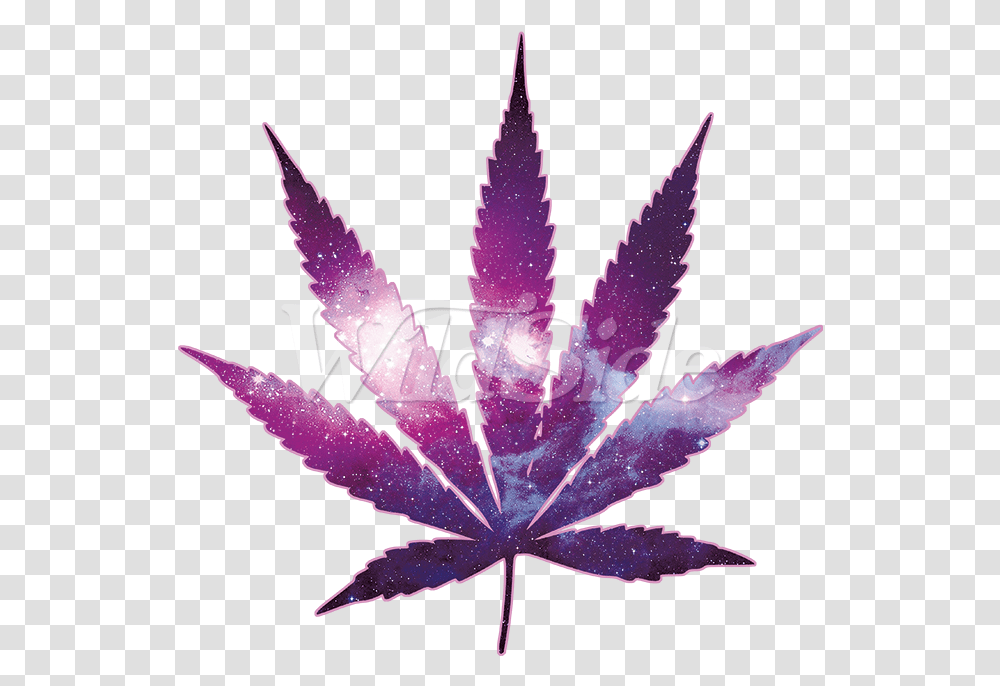 Toronto Maple Leafs Weed, Plant, Crystal, Flower, Blossom Transparent Png