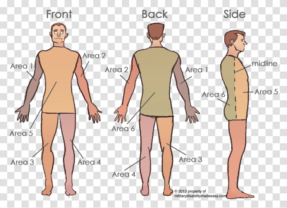 Torso Area, Person, Plot, Shorts Transparent Png