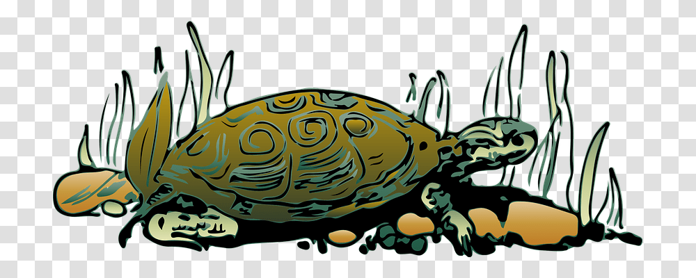 Tortoise Nature, Sea Life, Animal, Reptile Transparent Png