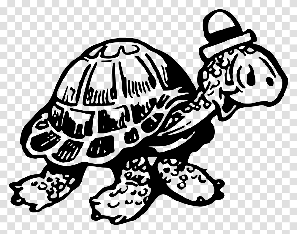 Tortoise 2 Clip Arts Turtle, Gray, World Of Warcraft Transparent Png