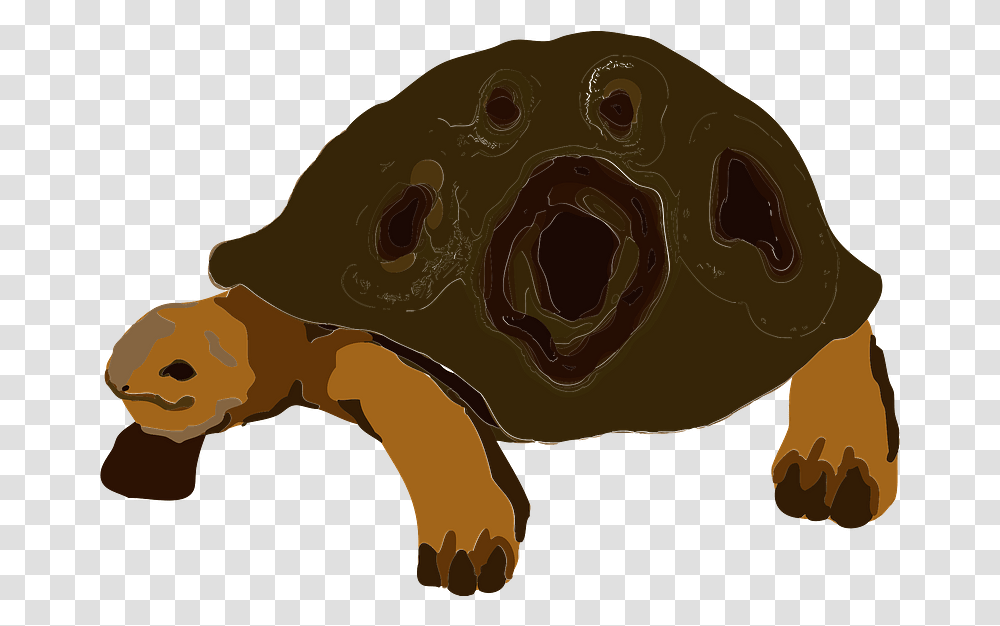 Tortoise Animal Clipart Free Download, Turtle, Reptile, Sea Life Transparent Png