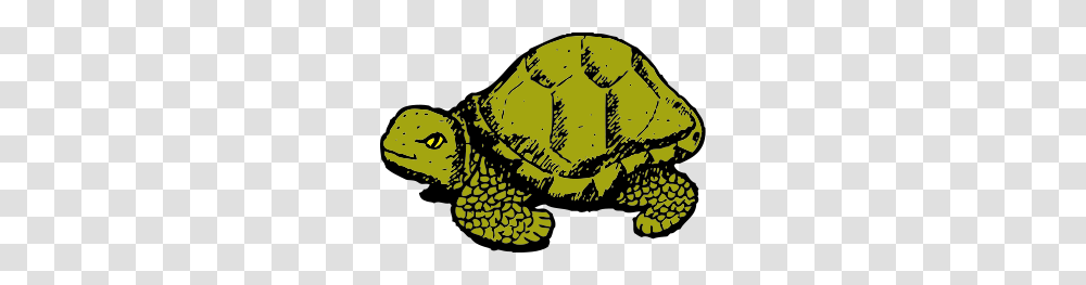 Tortoise Clip Arts Torto Se Clipart, Sea Life, Animal, Reptile, Turtle Transparent Png