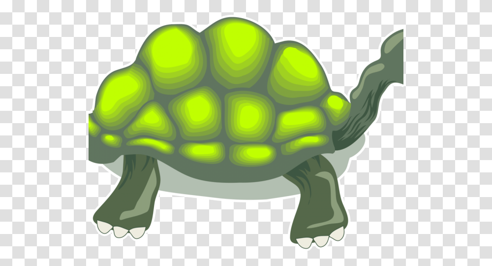 Tortoise Clipart Box Turtle Turtle, Toy, Reptile, Sea Life, Animal Transparent Png