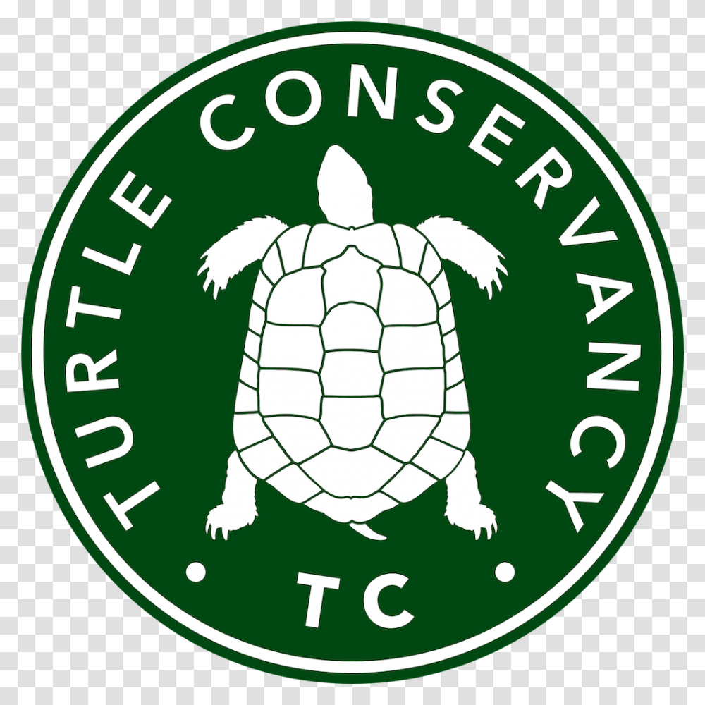 Tortoise Clipart Sick Turtle Turtle Conservancy, Animal, Sea Life, Reptile, Logo Transparent Png