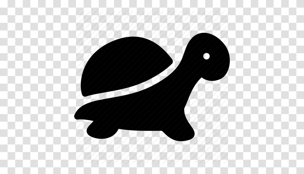 Tortoise Cliparts Turtles, Apparel, Piano, Leisure Activities Transparent Png