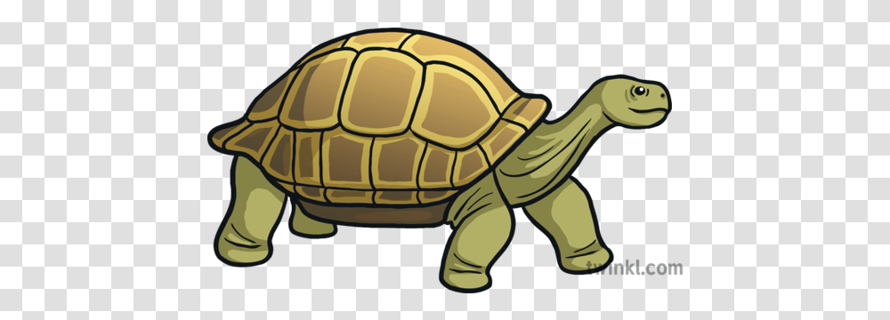 Tortoise Emoji Animals Nature Science Animal Figure, Turtle, Reptile, Sea Life, Soccer Ball Transparent Png