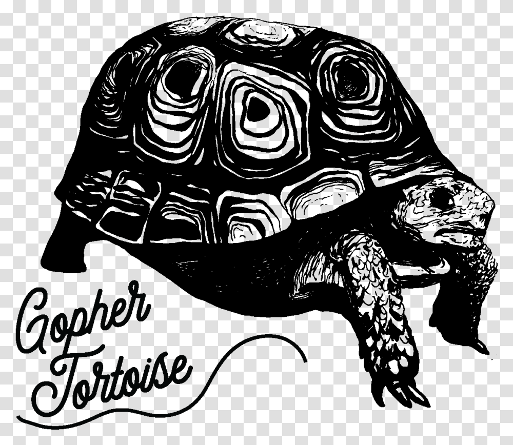 Tortoise Galpagos Tortoise, Outdoors, Gray, Astronomy Transparent Png