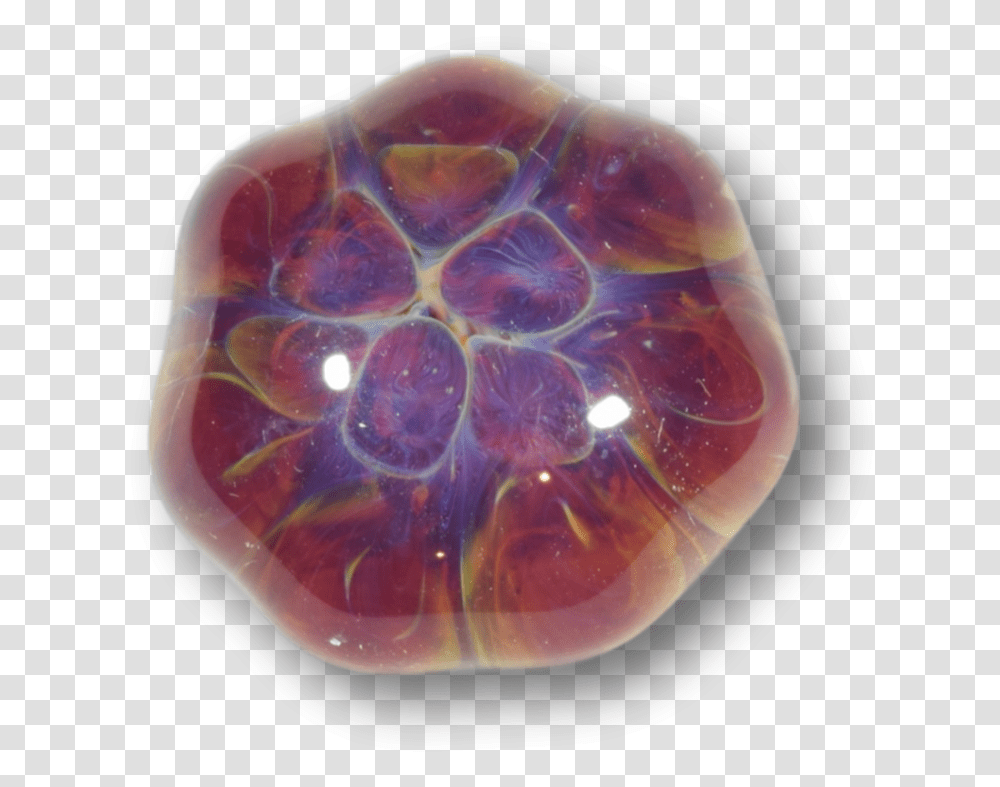 Tortoise, Gemstone, Jewelry, Accessories, Accessory Transparent Png