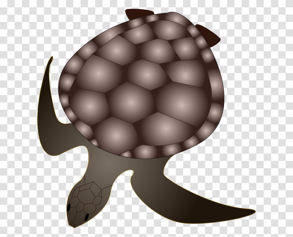 Tortoise Green Sea Turtle Reptile, Lamp, Sea Life, Animal, Sphere Transparent Png