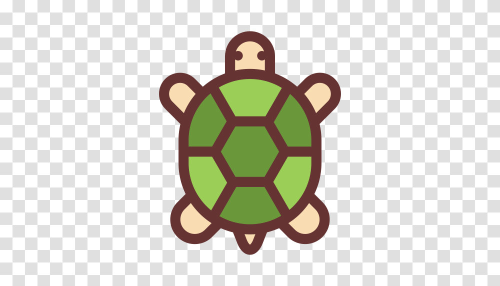 Tortoise Multicolor Lovely Icon With And Vector Format, Turtle, Reptile, Sea Life, Animal Transparent Png