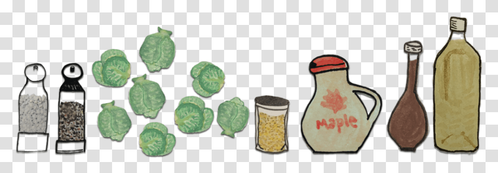 Tortoise, Plant, Jar, Vegetable, Food Transparent Png