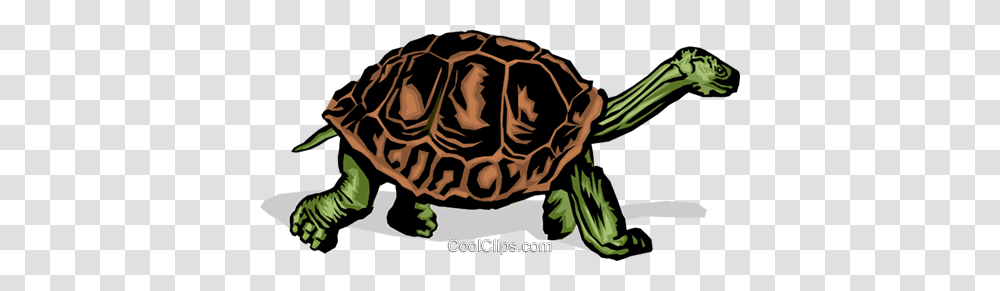 Tortoise Royalty Free Vector Clip Art Illustration, Turtle, Reptile, Sea Life, Animal Transparent Png