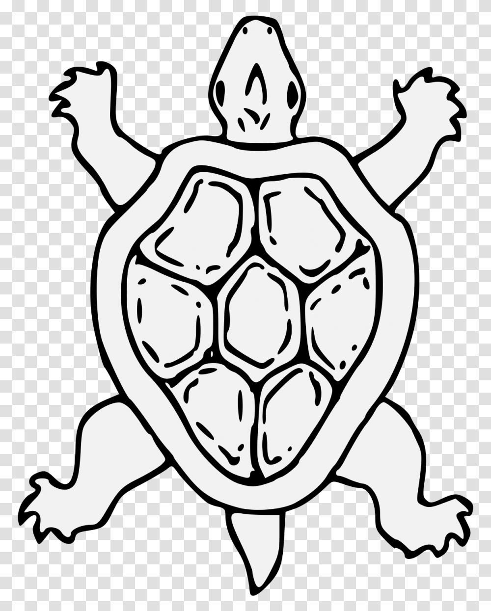 Tortoise, Stencil, Sea Life, Animal, Reptile Transparent Png