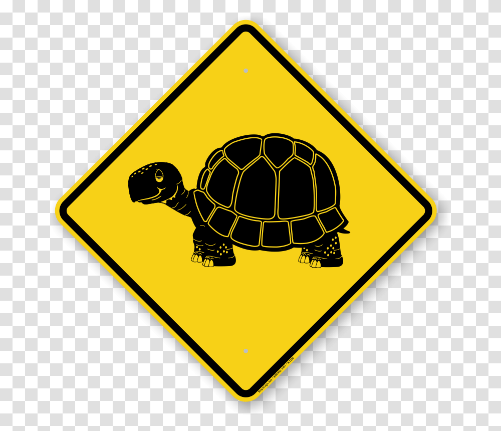 Tortoise Symbol Sign, Turtle, Reptile, Sea Life, Animal Transparent Png