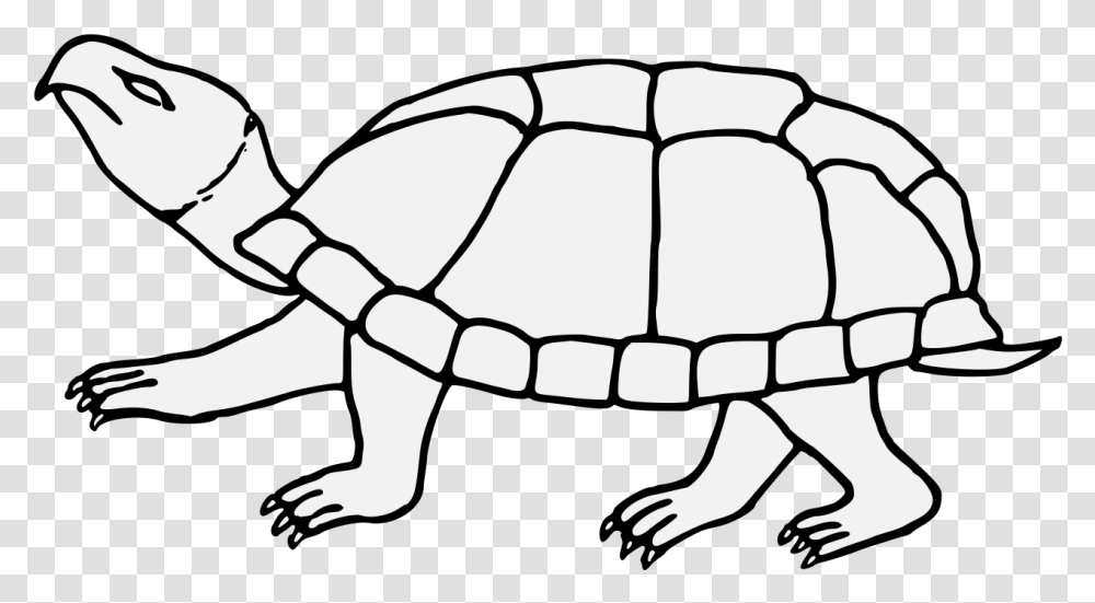 Tortoise Traceable Heraldic Art Line Art, Turtle, Reptile, Sea Life, Animal Transparent Png