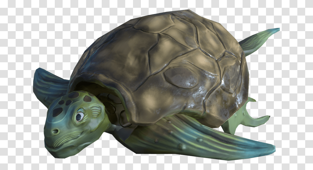 Tortoise, Turtle, Reptile, Sea Life, Animal Transparent Png