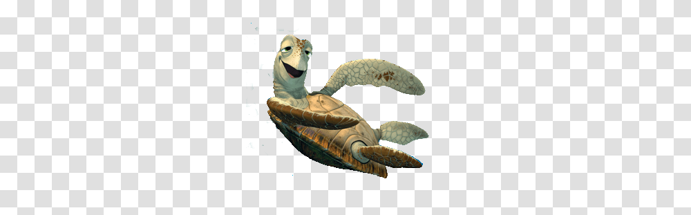 Tortoise, Turtle, Reptile, Sea Life Transparent Png