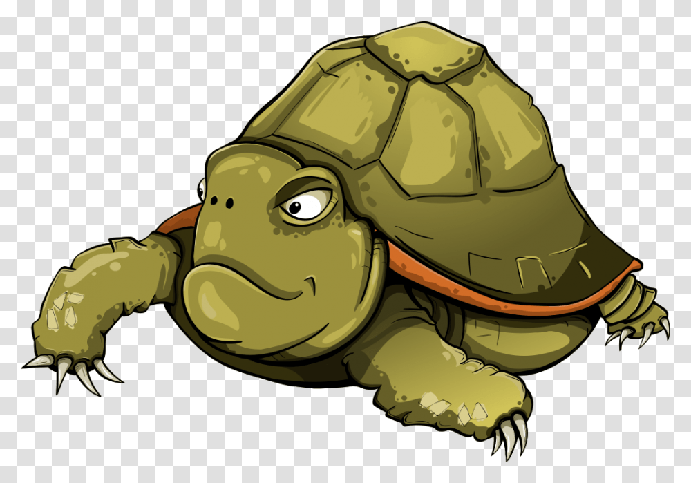Tortoise Turtle Shell Green Animals Turtle Vector, Helmet, Apparel, Reptile Transparent Png