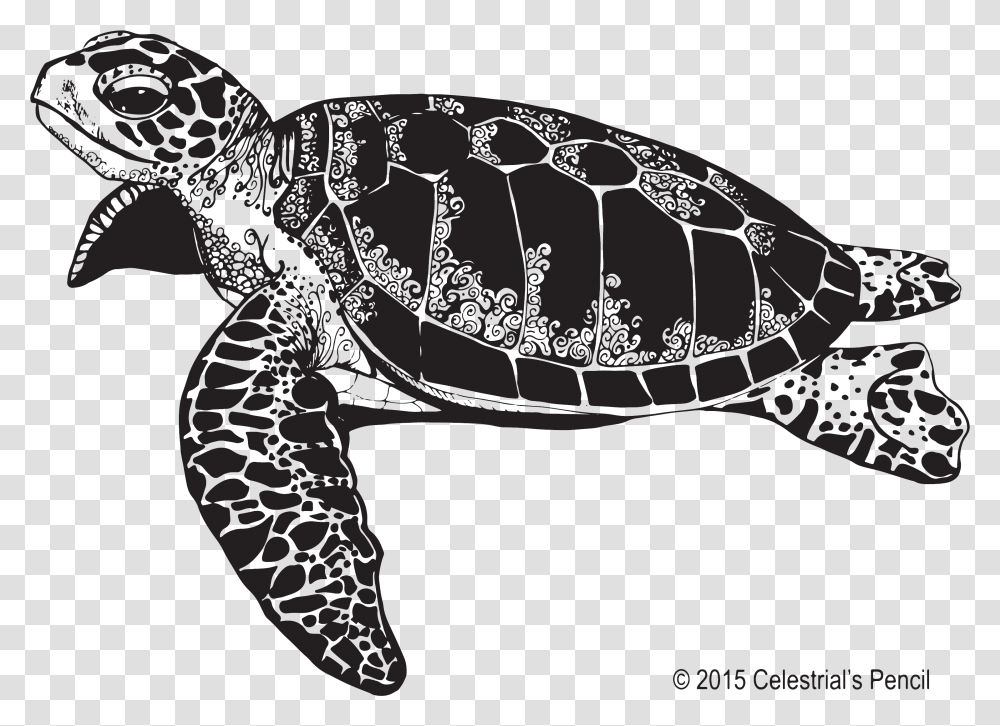 Tortuga Marina Blanco Y Negro, Tortoise, Turtle, Reptile, Sea Life Transparent Png