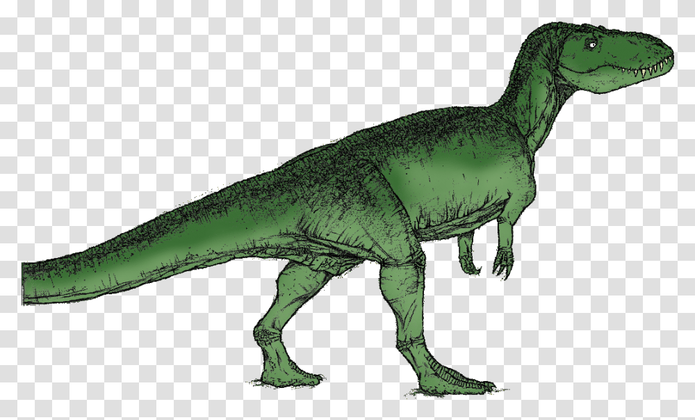 Torvoaurus Dinosaurs Green, T-Rex, Reptile, Animal, Lizard Transparent Png