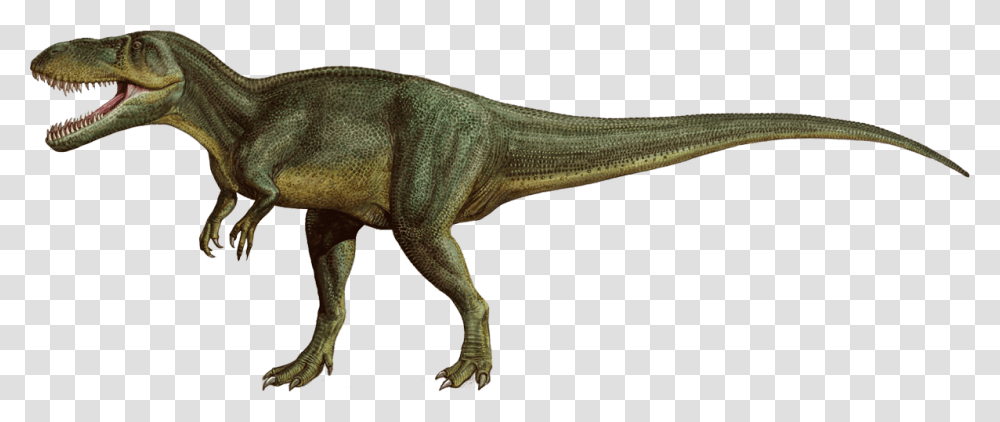 Torvosaurus, Fantasy, Dinosaur, Reptile, Animal Transparent Png