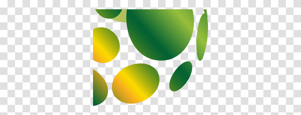 Total Energy Solutions An Energy Broker With A Difference Circle, Green, Balloon, Plant, Light Transparent Png