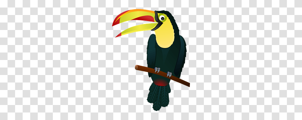Toucan Animals, Bird, Beak, Axe Transparent Png