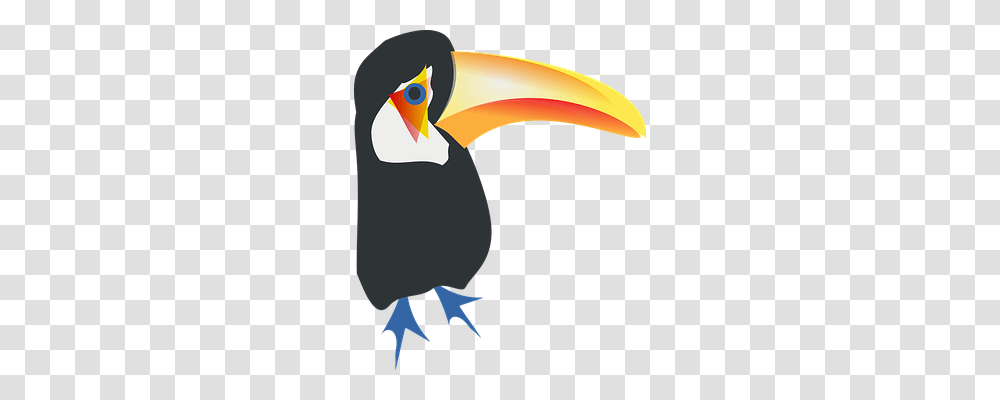 Toucan Animals, Beak, Bird Transparent Png