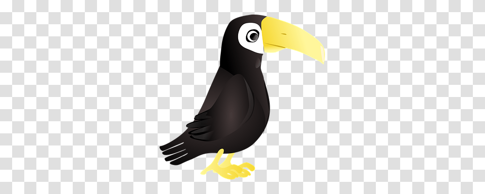 Toucan Animals, Beak, Bird, Puffin Transparent Png