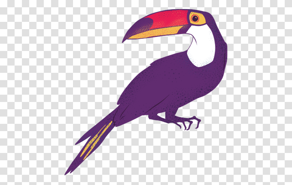 Toucan Animais Amaznia, Animal, Bird, Beak Transparent Png