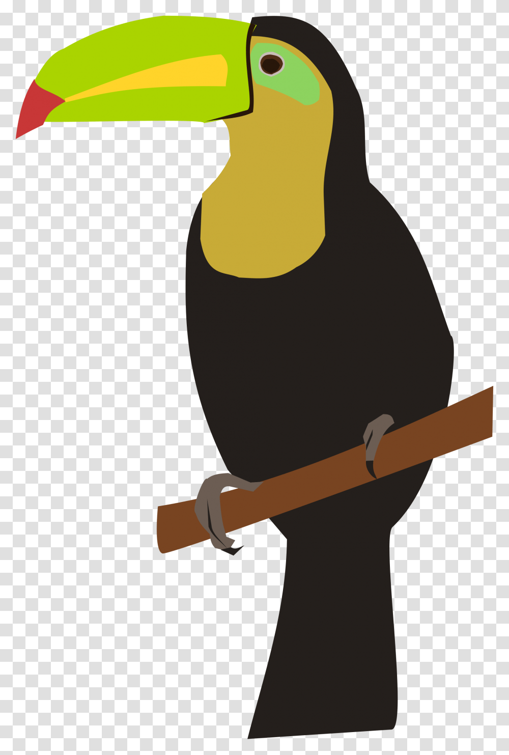 Toucan, Animal, Bird, Beak Transparent Png