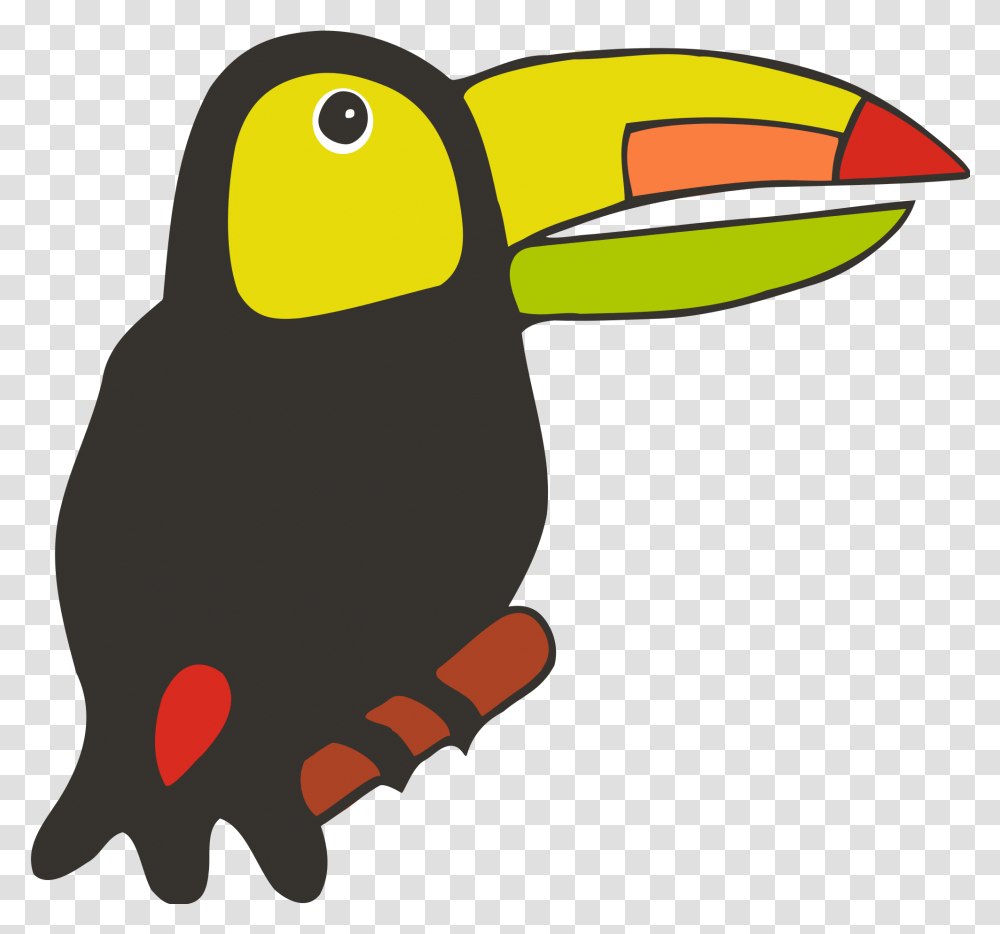 Toucan, Animal, Bird, Hand Transparent Png