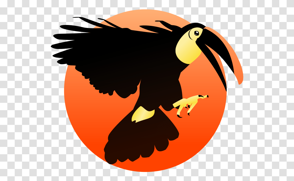 Toucan Beak, Bird, Animal, Eagle, Waterfowl Transparent Png