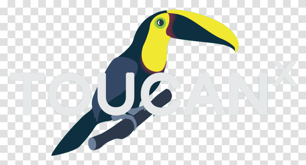 Toucan, Beak, Bird, Animal Transparent Png