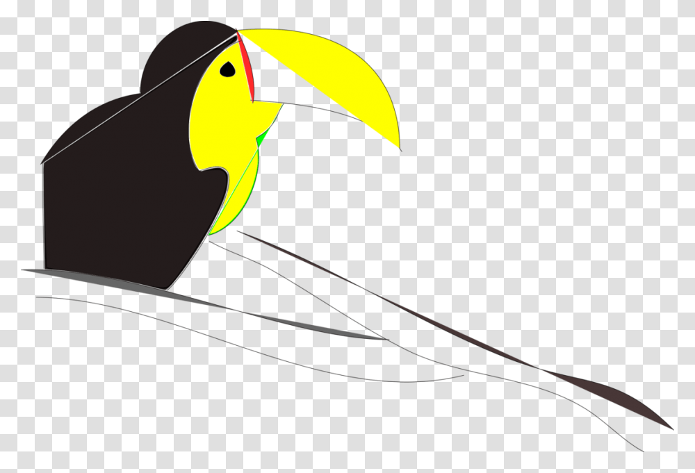 Toucan Beak Neck, Animal, Bird, Sea Life, Fish Transparent Png