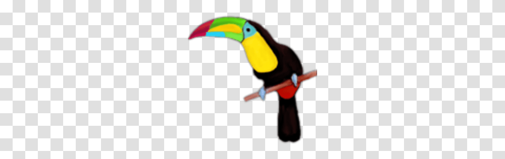 Toucan, Bird, Animal, Person, Human Transparent Png