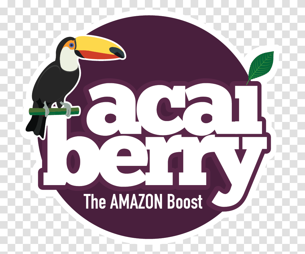 Toucan, Bird, Animal, Label Transparent Png