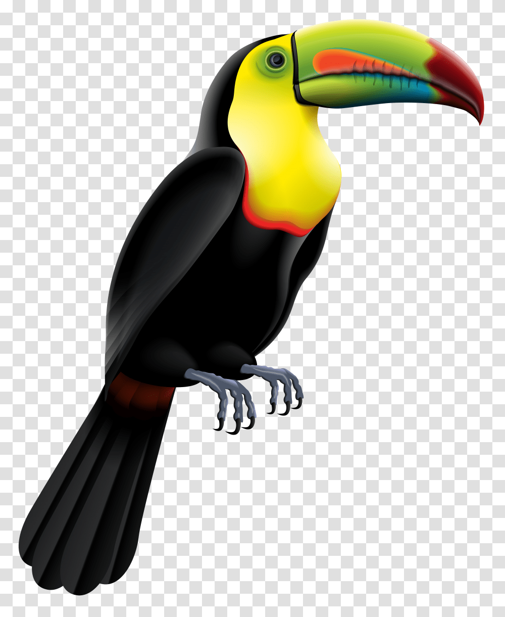 Toucan Bird Clip Art, Animal, Blackbird, Agelaius, Hammer Transparent Png