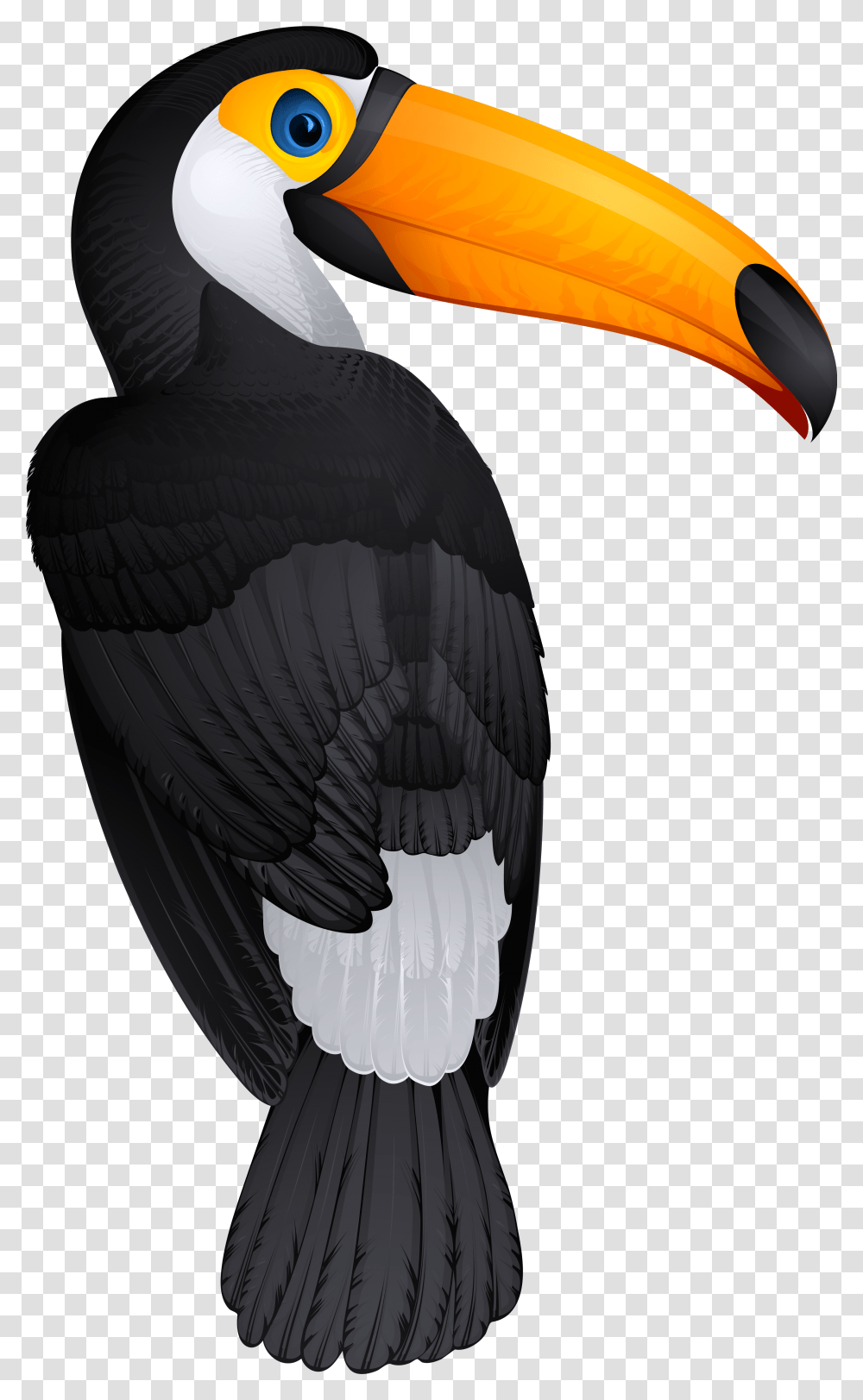 Toucan Bird Clipart Picture Toucan, Beak, Animal, Puffin, Flying Transparent Png