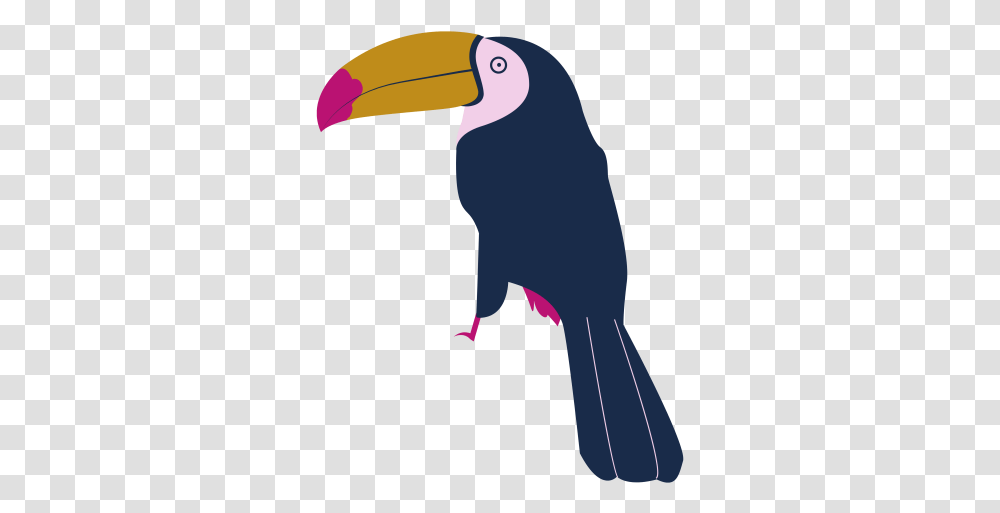 Toucan Bird Image 678 Free Toucans, Beak, Animal, Eagle, Vulture Transparent Png