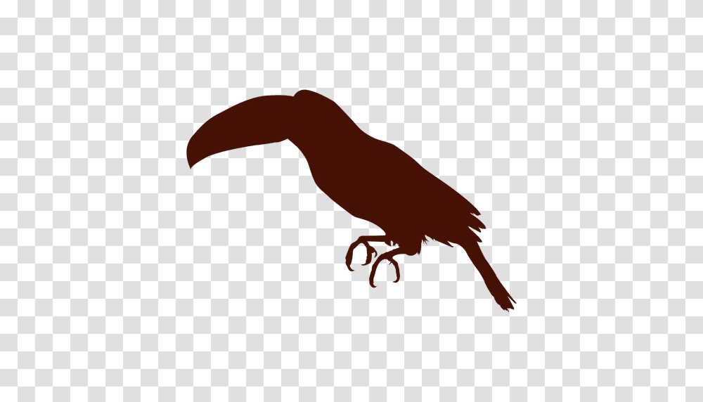 Toucan Bird Silhouette, Animal, Ketchup, Food, Hook Transparent Png