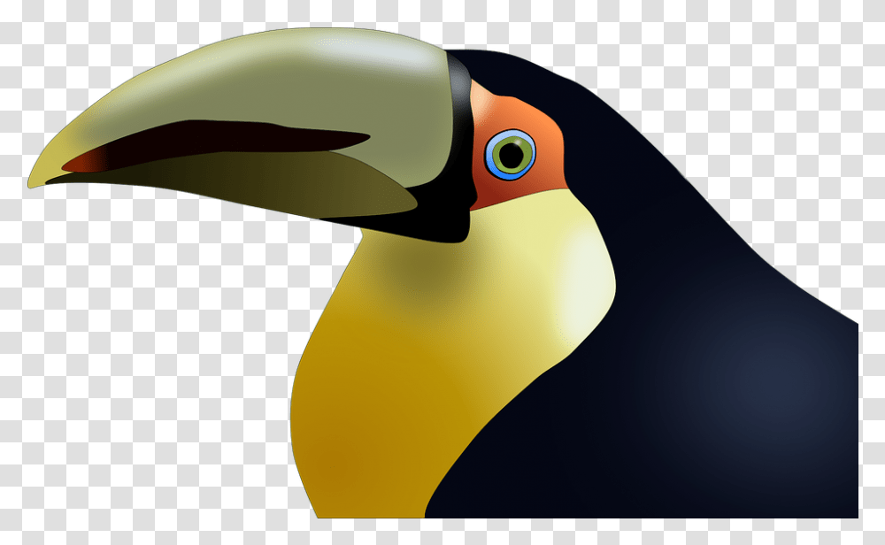 Toucan Bird Tropical Birds, Animal, Beak, Lamp, Flamingo Transparent Png