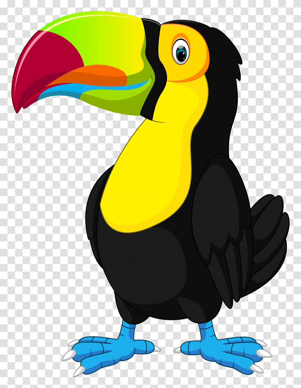Toucan Cartoon Clip Art, Bird, Animal, Vulture Transparent Png