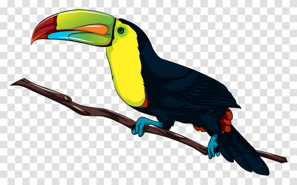 Toucan Clipart, Animal, Bird, Beak Transparent Png