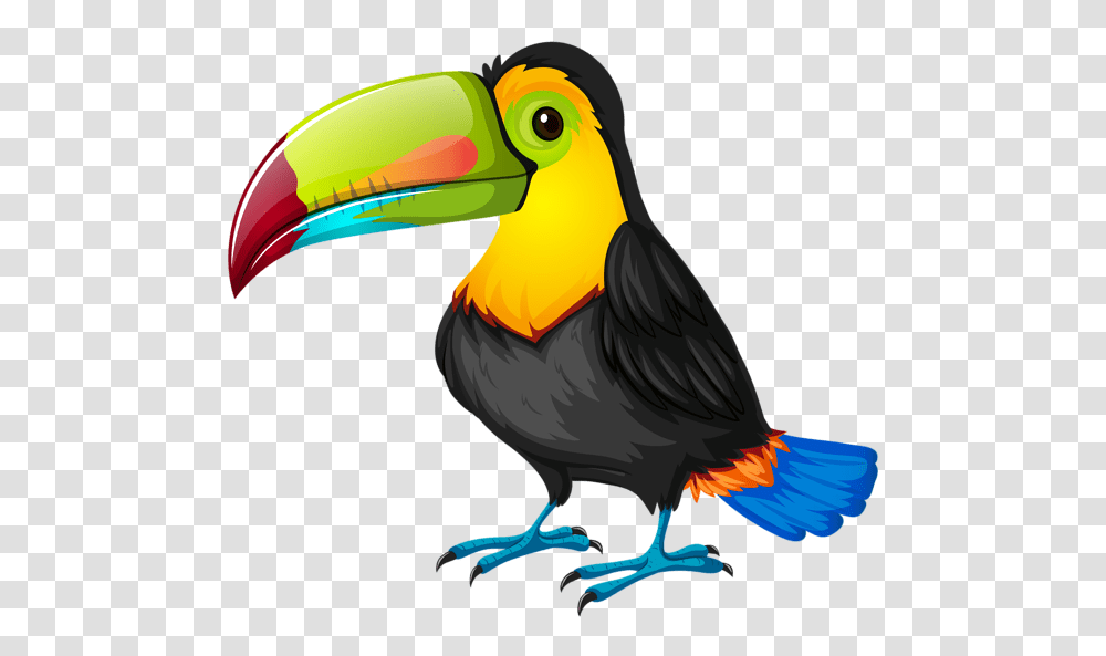 Toucan Clipart Cute Baby, Bird, Animal, Beak Transparent Png