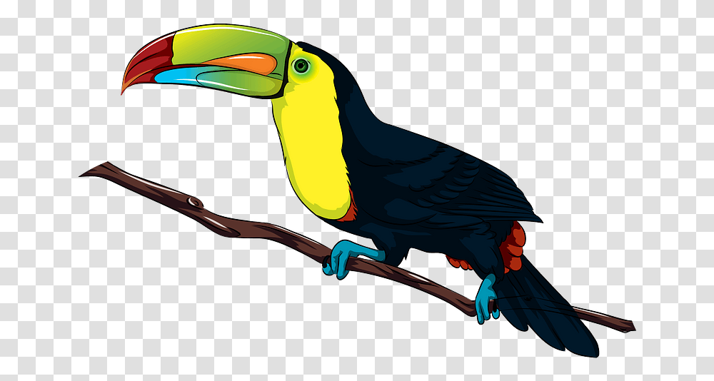 Toucan Clipart Keel Billed Toucan, Bird, Animal, Beak Transparent Png