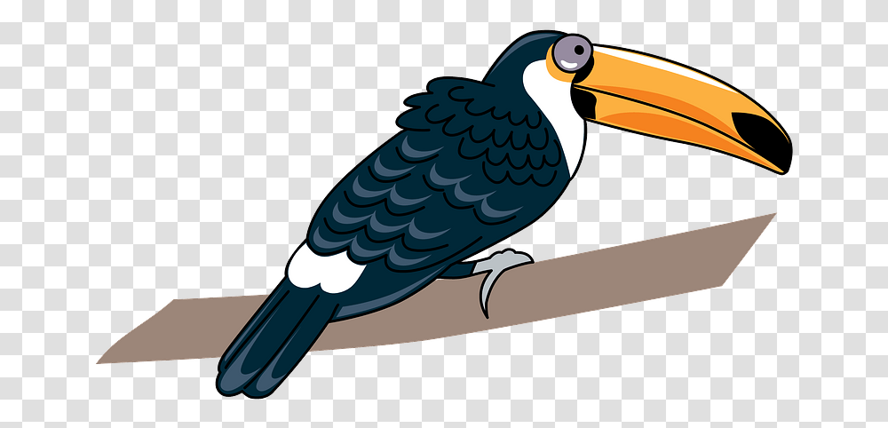 Toucan Clipart Long, Beak, Bird, Animal, Vulture Transparent Png
