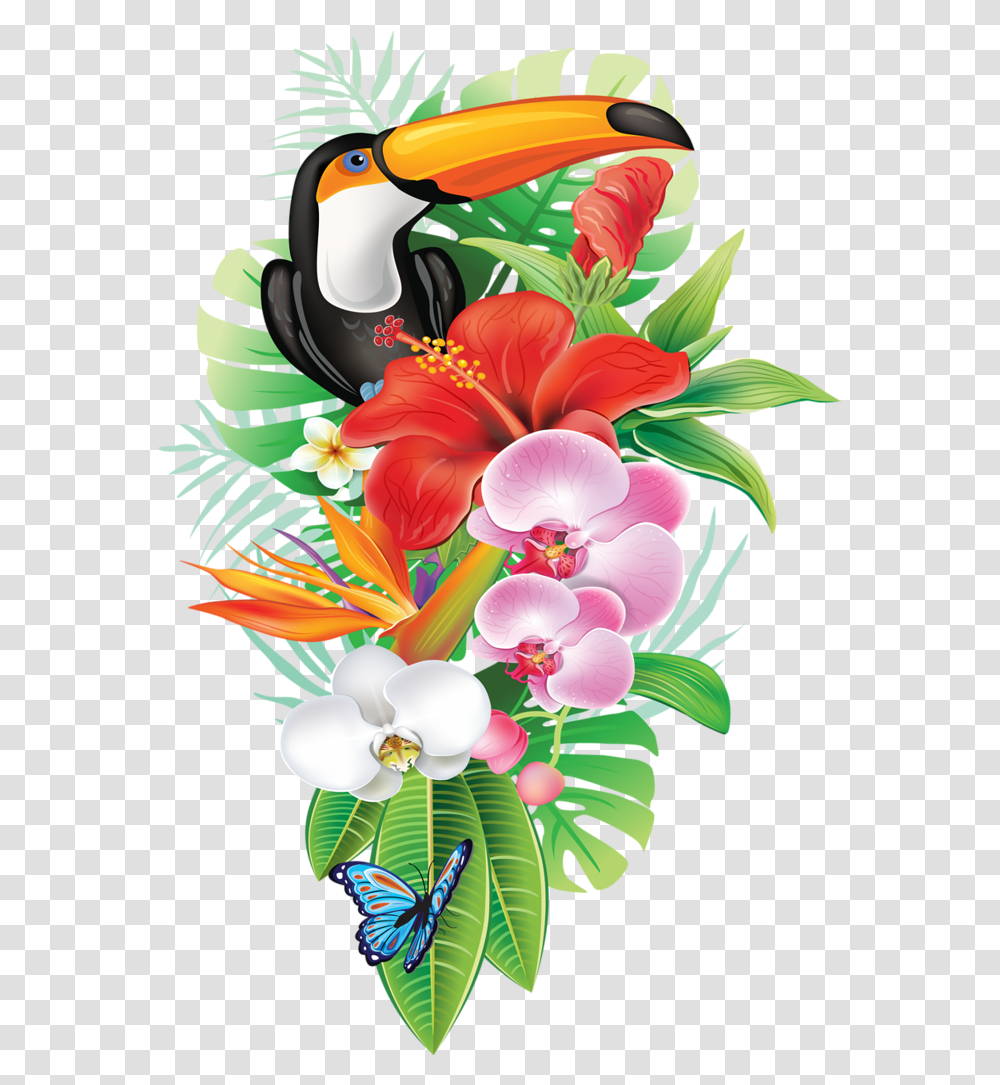 Toucan Clipart Rainforest Brazilian Tropical Flower Vector, Graphics, Floral Design, Pattern, Plant Transparent Png